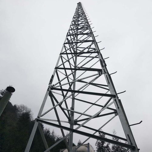 30m高避雷針?biāo)r(jià)格